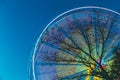 Tree Branches Against Backdrop Of Bright Spinning Ferris Wheel At Spring Evening Or Night. Motion Blurred Effect Around Royalty Free Stock Photo