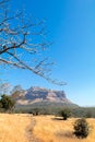 Tree branches against blue sky with a mountain in the background Royalty Free Stock Photo