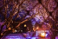 Tree branches covered with bright Christmas lights and snow. Winter city park. Christmas background. Holiday street illumination. Royalty Free Stock Photo