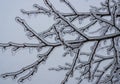 Glistens in the light against a muted gray sky, with icicles Royalty Free Stock Photo