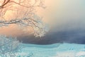 tree branches covered with snow and frost near the river Royalty Free Stock Photo
