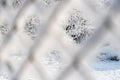 Tree branches covered with snow. View through rusty wire mesh fence covered with hoarfrost Royalty Free Stock Photo