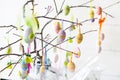Tree branches decorated with Easter eggs and feathers in a glass vase. Royalty Free Stock Photo