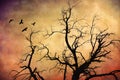 Tree branches with flock of ravens against a textured sunset sky