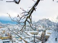 Tree branches in the foreground with salzburg cityscape river and fortress Royalty Free Stock Photo