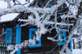 Tree branches in frost against the background of a village window, close-up