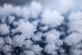 Tree branches frozen in the ice. Frozen tree branch in winter forest.Frozen waterfall; Snow, frost close up,  a snowflake in Royalty Free Stock Photo