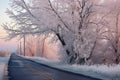 tree branches glazed with ice near road Royalty Free Stock Photo