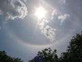 Tree Branches with Green Leaves and Blue Sky with Sun Halo Royalty Free Stock Photo