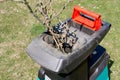 Tree branches inserted into electric garden shredder with weathered lawn in the background. Cleanup around the house