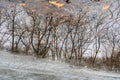 Tree branches reflecting on the surface of a partially frozen lake, Upstate New York Royalty Free Stock Photo