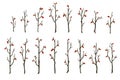 Tree branches set. Hand drawn bare wood sticks with few red leaves vector illustration. Thin forest trees silhouettes Royalty Free Stock Photo