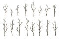 Tree branches set. Hand drawn bare wood sticks vector illustration. Thin forest trees silhouettes isolated on white Royalty Free Stock Photo