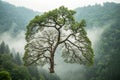 Tree in Shape of Lungs, Eco Concept Royalty Free Stock Photo