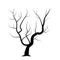 Black silhouette bare tree . Vector illustration. Royalty Free Stock Photo