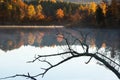 Tree branches in silhouette lying in the water with forest in autumn colors in the background