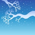 Tree branches with snowy sky Royalty Free Stock Photo