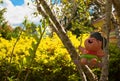 Tree branches and swing set Royalty Free Stock Photo