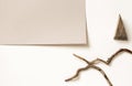 Tree branches on two neutral beige colors paper backgrounds, top view. Rustic concept flat lay composition Royalty Free Stock Photo