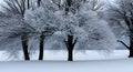 Tree branches under the snow Generative AI