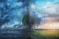 Tree Braving Storm, Integrate AI algorithms to predict and adjust settings based on user behavior and weather conditions Royalty Free Stock Photo