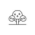 Tree, breadfruit icon. Simple thin line, outline vector of trees icons for ui and ux, website or mobile application