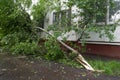 Tree broken by hurricane and house in Moscow in Moscow