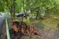 Tree broken by a hurricane, woman and car in Moscow
