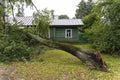 a tree broken by the wind lies next to a private house Royalty Free Stock Photo