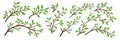 Tree Brunch Icon Set Isolated. Flat Cartoon Simple Twig with Green Leaves Collection. Design Decorative Elements. Spring