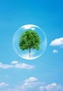 Tree in a bubble