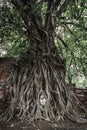 Tree Buddha Royalty Free Stock Photo
