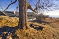 Tree and building on Sitno mountain in Stiavnicke Vrchy