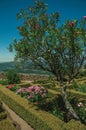 Tree and bushes in a flowered garden next to the Marvao Castle