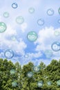 Tree canopy against a sky background with oxygen O2 and carbon dioxide CO2 molecules - Carbon dioxide absorption and oxygen Royalty Free Stock Photo
