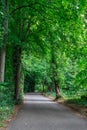 Approaching Autumn walk in the park Royalty Free Stock Photo