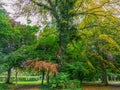 Approaching Autumn walk in the park Royalty Free Stock Photo