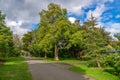 Approaching Autumn walk in the park Royalty Free Stock Photo