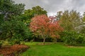 Approaching Autumn walk in the park Royalty Free Stock Photo