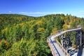 Tree canopy walk, treetop walkway, footbridge through the forest, adventure in nature.