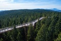 Tree canopy walk, treetop walkway, footbridge through the forest, adventure in nature