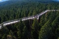 Tree canopy walk, treetop walkway, footbridge through the forest, adventure in nature