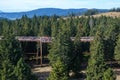 Tree canopy walk, treetop walkway, footbridge through the forest, adventure in nature Royalty Free Stock Photo