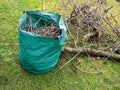 Tree care pruning in the garden garden waste