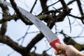Tree care spring Royalty Free Stock Photo
