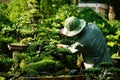 Tree care worker at park Royalty Free Stock Photo