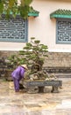 Tree care worker works at park in Vietnam Royalty Free Stock Photo