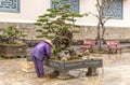 Tree care worker works at park in Vietnam Royalty Free Stock Photo