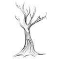 Tree cartoon icon isolated on white