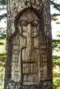 Tree carved on top of Mt. Roberts in Juneau Royalty Free Stock Photo